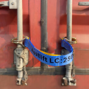 Container Strap 50mmx 600mm