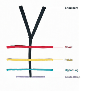 Spider Harness to suit Spineboard/Scoop Stretcher