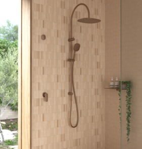Caroma Contura II Shower System