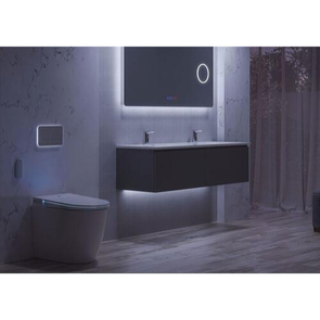 Argent Eva Back To Wall Smart Pan and Seat