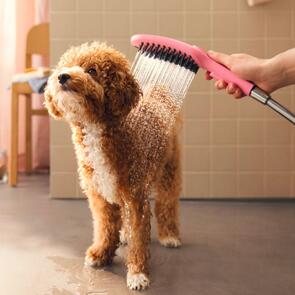 Hansgrohe Dogshower Handpiece 150 3 Jet
