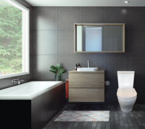 Caroma LunaPlus Back To Wall Toilet Suite Cleanflush