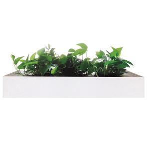 Mila Planter White