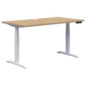 Pintari Standing Desk White / Classic Oak