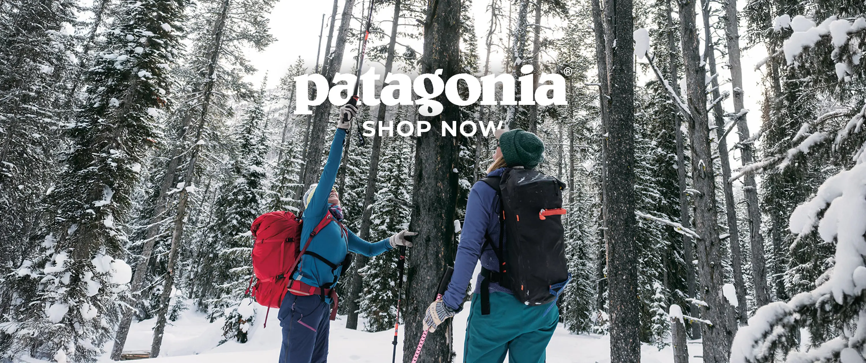 Shop Patagonia