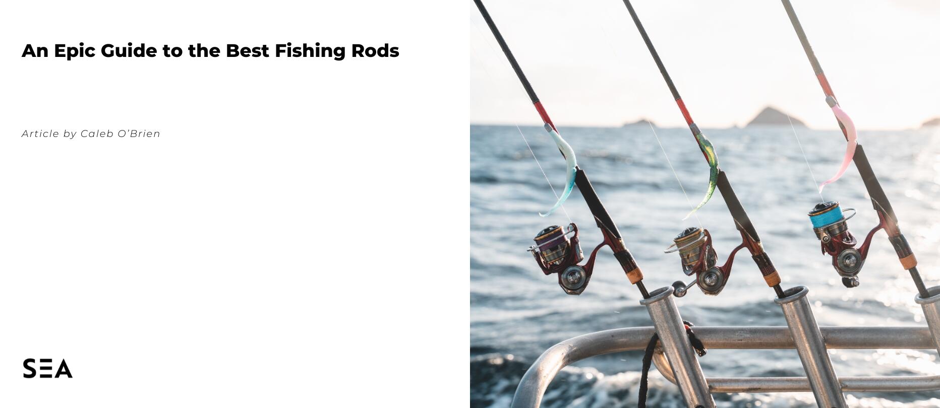An Epic Guide To The Best Fishing Rods In NZ For 2024