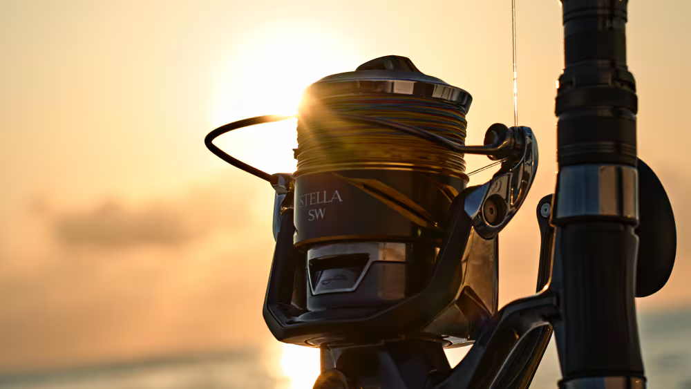 Shimano Stella SW infront of a sunset