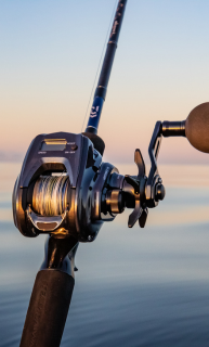 Baitcaster Reels