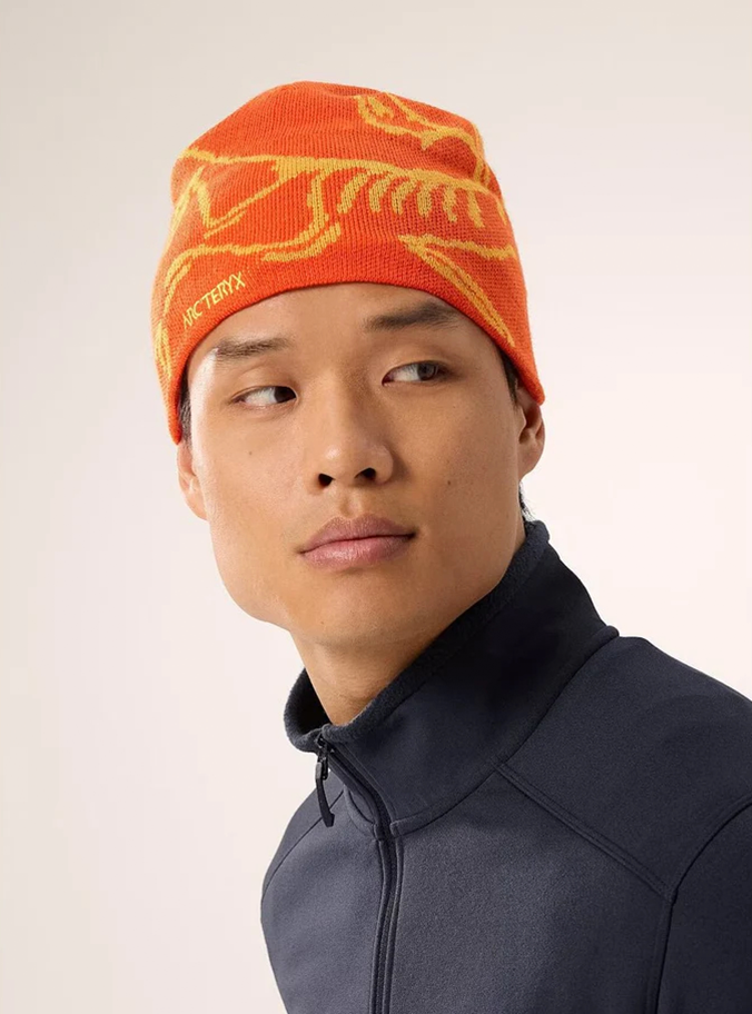 Arc'teryx Bird Head Toque