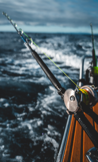 Game Rods