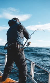 Jigging Rods