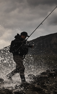 Surf/Landbased Rods