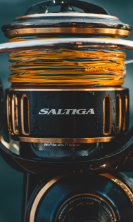 Spin Reels