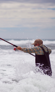 Surf Reels