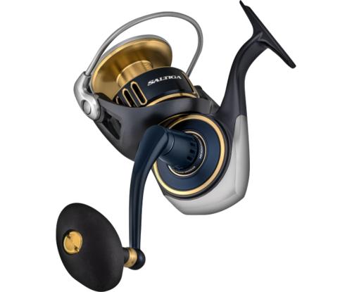 Daiwa 25 Saltiga (G) 10000-H | Land & Sea NZ