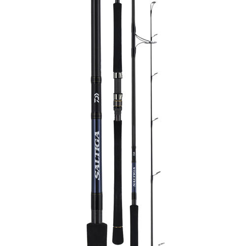 Daiwa Saltiga C 83 PE6 Casting Rod | Land & Sea NZ
