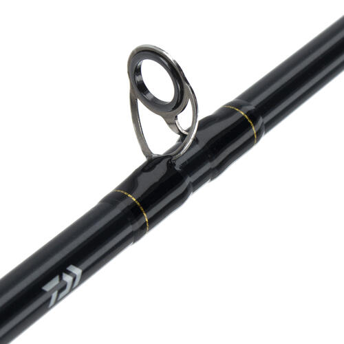 Daiwa Pr100 / Strikeforce 661Mhfb 6'6 Overhead Baitcast Combo With Braid