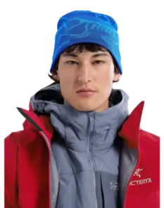 Arc'teryx Bird Head Toque - Vitality/Fluidity