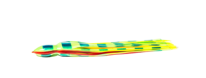 Bonze D Shackle Game Lure 10.5 Inch