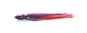 Bonze DLB Game Lure With Wings 12.5 Inch - Paris