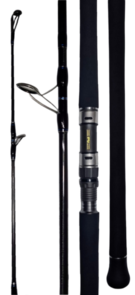 Ocean's Legacy Specialist Land base Casting Rod - 9'8" 2pc PE4.0 30-80g