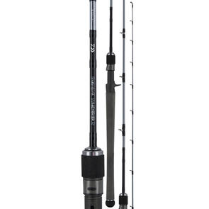 Daiwa 20 TD Saltwater BJ66 PE2.5