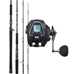 Daiwa Leobritz 300J | Leobritz DG 6ft 3in PE3-4 Electric Combo