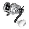 Shimano Trinidad 12A Jigging Reel