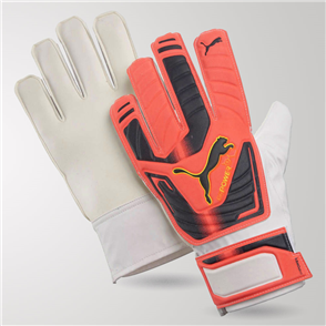 Puma evoPOWER Grip 4 GK Gloves