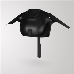 Champion Display 3D Jersey Wall Display Unit