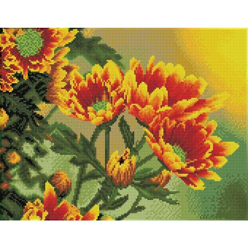 Diamond Dotz  Diamond Art Kit - Field Daisies
