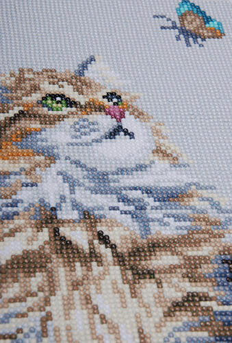 Lanarte  Diamond painting kit Forest cat