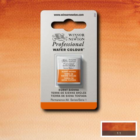 Winsor & Newton Professional Watercolour Half Pans