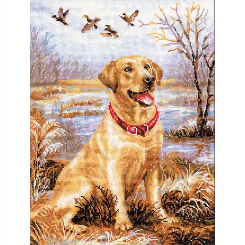 Riolis Labrador - Counted Cross Stitch Kit