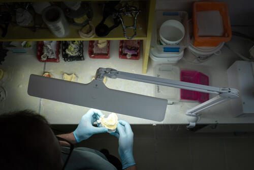 Daylight Lumi Task Lamp