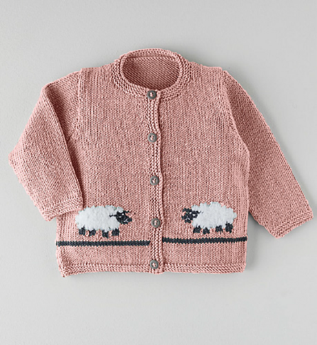 Sirdar Sheep Cardigan - Knitting Kit / Pattern