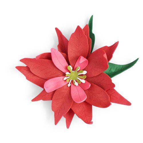 Sizzix Thinlits Die Set 7PK - Poinsettia Flower | The Ribbon Rose