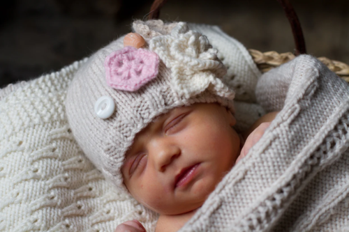 Lisa F BC30 -  Winter Garden Hat - Knitting Pattern