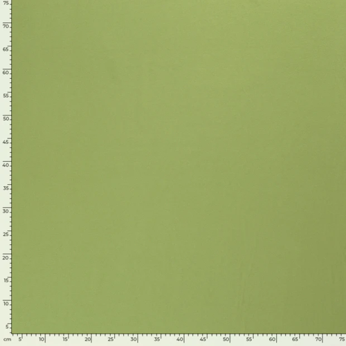 Nooteboom Heavy Cotton Jersey - Unicolour #05438 - Colour 023 - Apple Green