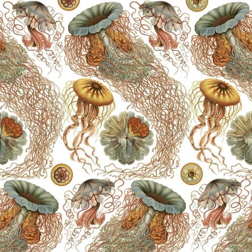 The Pepin Press Gift and Creative Papers Book-Art Forms In Nature