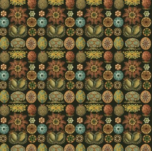 The Pepin Press Gift and Creative Papers Book-Art Forms In Nature