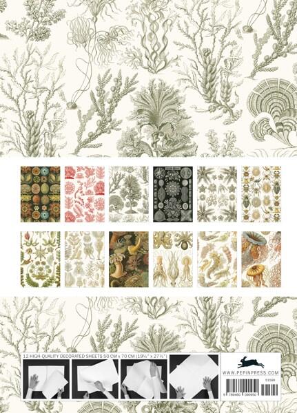 The Pepin Press Gift and Creative Papers Book-Art Forms In Nature