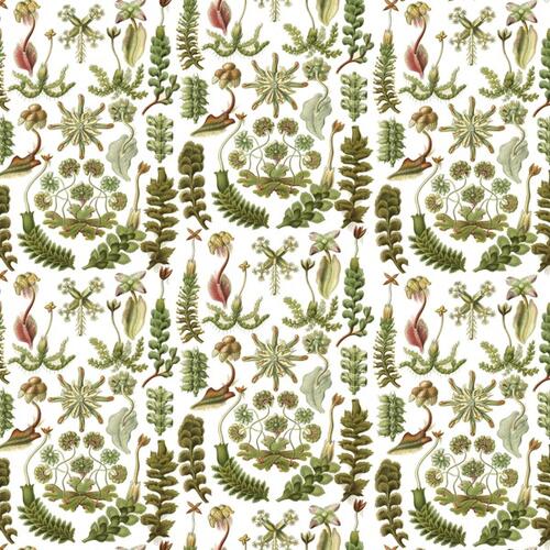 The Pepin Press Gift and Creative Papers Book-Art Forms In Nature