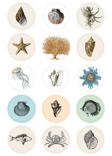The Pepin Press  Label and Sticker Book-Natural History