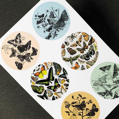 The Pepin Press  Label and Sticker Book-Natural History
