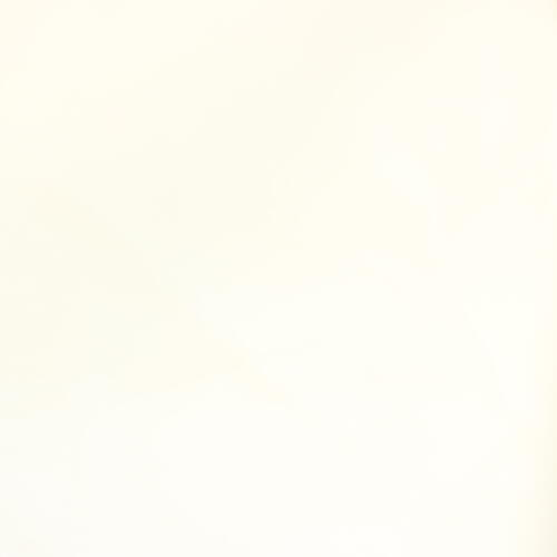Sevenberry Japan 96% Cotton 4% PU typewriter cloth 164gsm #1254-1
