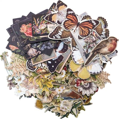 Idea-Ology Tim Holtz Layers Die-Cuts 83/Pkg - Botanical