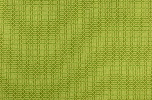 Michael Miller Technicolor /Emily Herrick Leaf Crosshatch