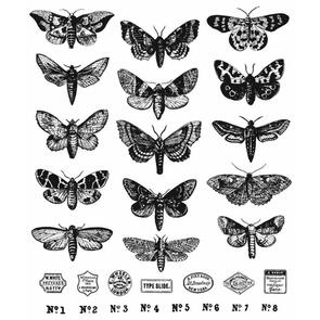 Stampers Anonymous  Tim Holtz Cling Stamps 7"X8.5" - Moth Study