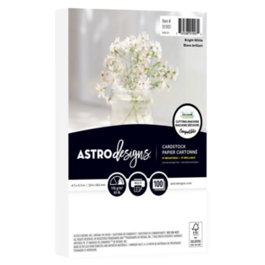 Neenah Astrodesigns 65lb Cardstock Pack 4.5"X6.5" 100/Pkg - Bright White